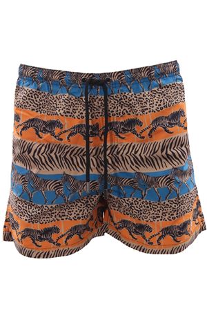 Boxer mare  TOOCO | TOCO238ZOE