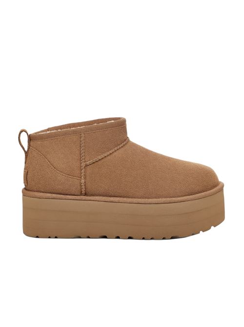 Cammello
