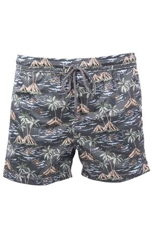 Boxer mare  DETWELVE | T-PORTOFINOHAWAIIMILITARY