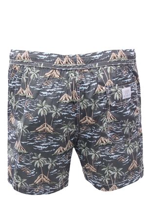 Boxer mare  DETWELVE | T-PORTOFINOHAWAIIMILITARY