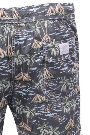 Boxer mare  DETWELVE | T-PORTOFINOHAWAIIMILITARY