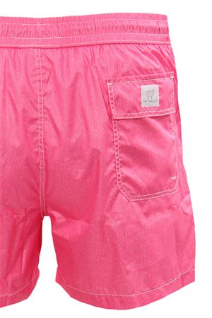 Boxer mare  DETWELVE | T-PORTOFINOPRINTP8