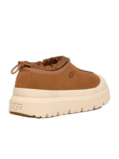 sneakers uomo tasman weather hybrid UGG | M1144096CWTC